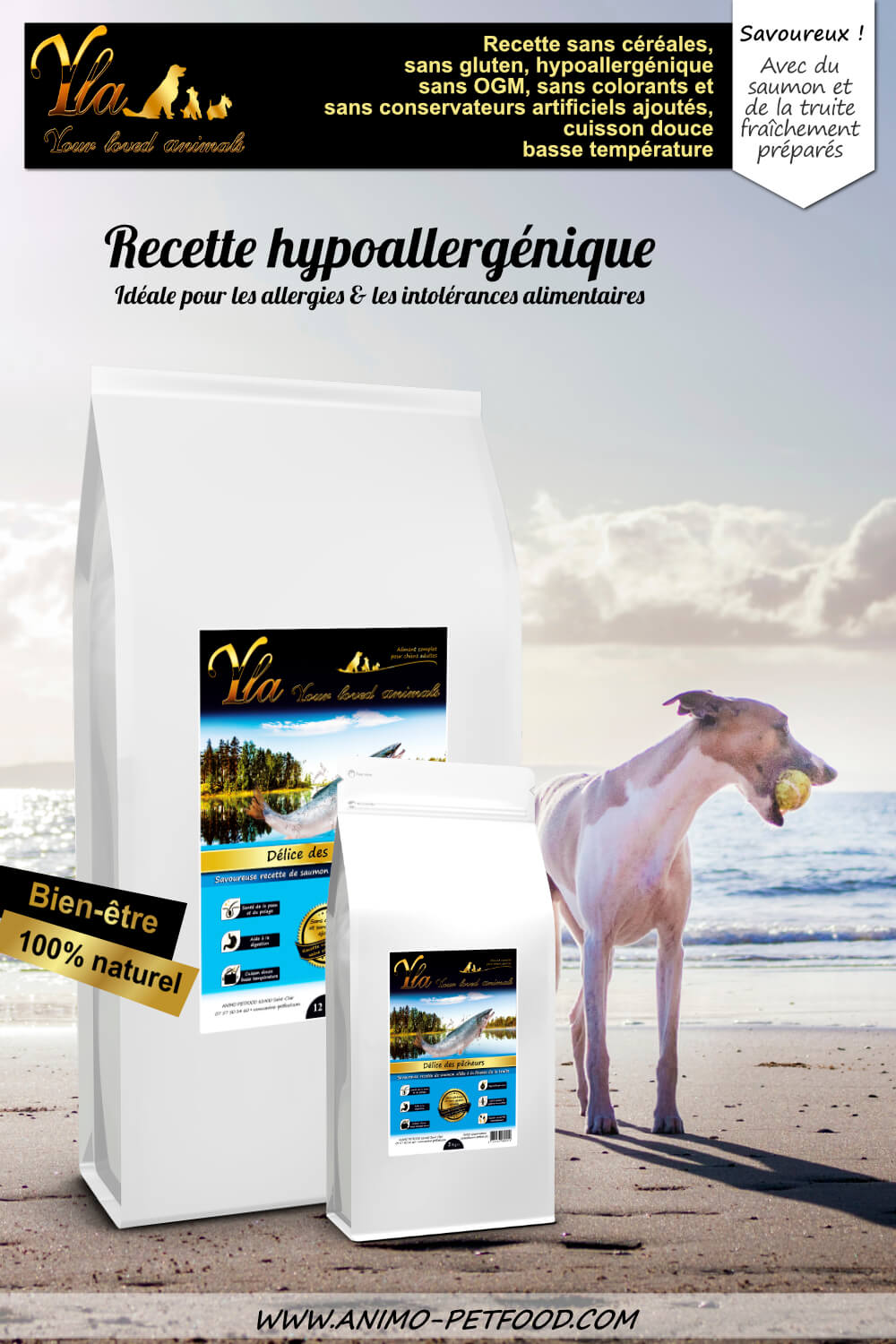 alimentation-hypoallergenique-saumon-truite-pour-chien